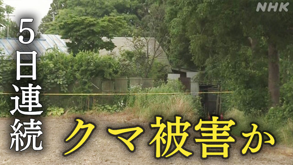 【岩手・北上】クマに襲われたか…住宅で81歳の女性死亡