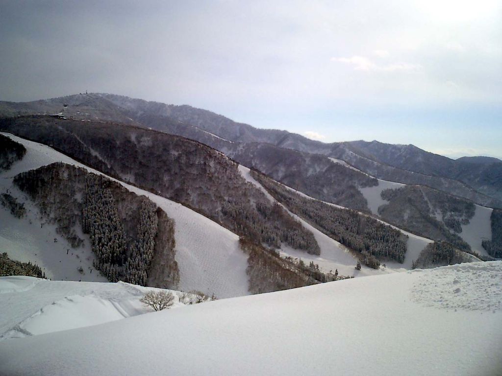 長野 野沢温泉スキー場 オーストラリア人家族4人雪山で遭難し一夜を明かす 登山ちゃんねる 長野 野沢温泉スキー場 オーストラリア人家族4人雪山で遭難し一夜を明かす 登山ちゃんねる