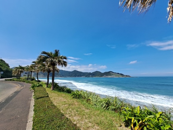 宮崎県にひとり旅行来てるけど、思ったよりも寂しくて泣いてる