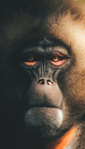 rob-potter-xFSMdOXsO5o-unsplash (1)