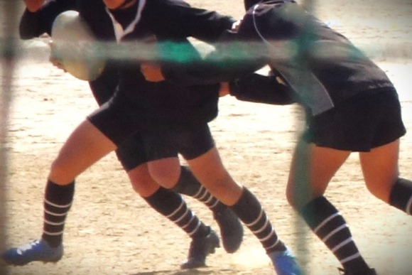 社会人って「体育会系」が圧倒的に有利よな