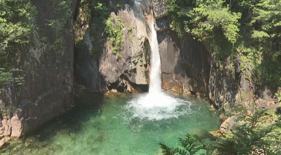 c_image1 (1)