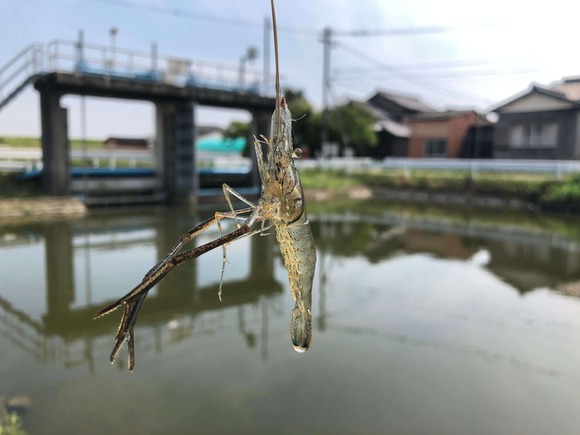 74