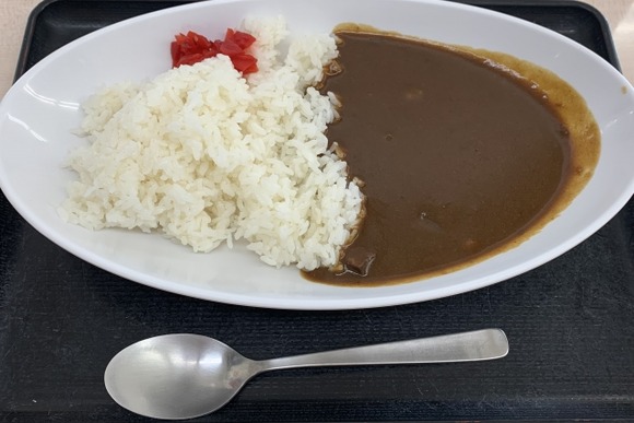 乗客「SAでドライバーがカレー食べてる。いかがなものか」旅行会社「申し訳ございません」