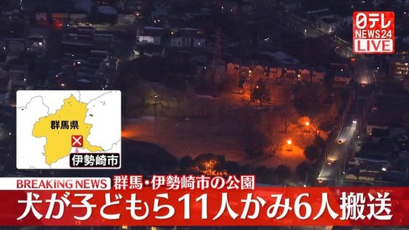 【群馬】子どもなど11人、犬にかまれる…6人搬送