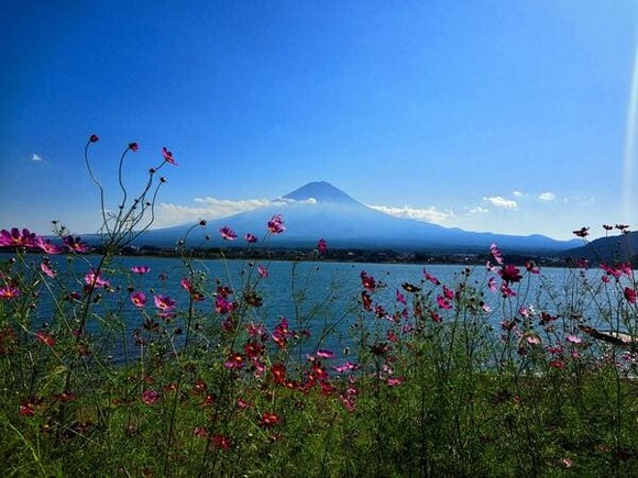 富士山
