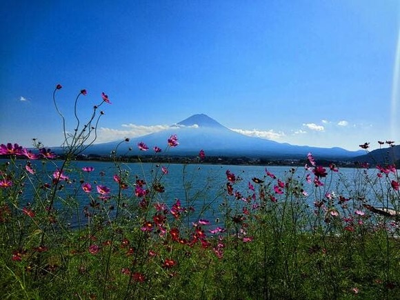 富士山