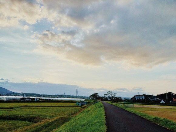 僕が河川敷でジョギングしてて遭難した話