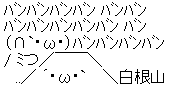 AA_142473136399051100