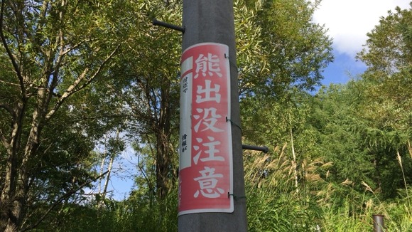 ヒグマを撃つ時どこを狙うかでハンターの素質があるかどうか分かる