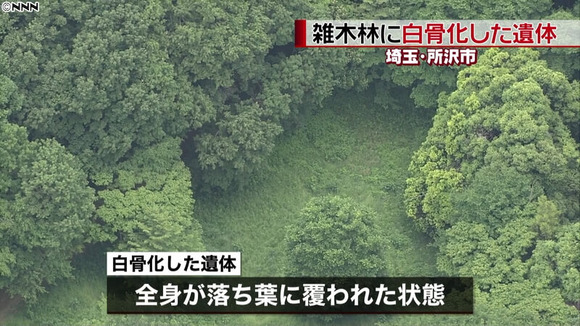 トトロの森 (1)