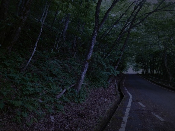 夜の山道怖すぎる・・・