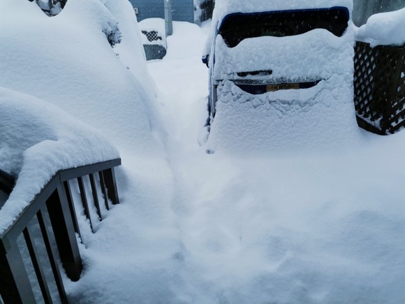 【危険】「雪は食べちゃダメ！」さまざまな危険性を指摘