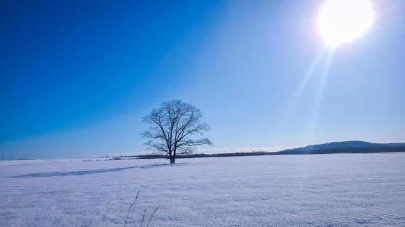 【画像】俺が今年行った旅行先で撮った写真ベスト10ｗｗｗｗｗｗｗｗｗ