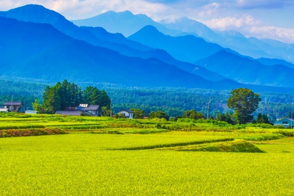 長野県って言うほど魅力的か？(長野県民ワイ)