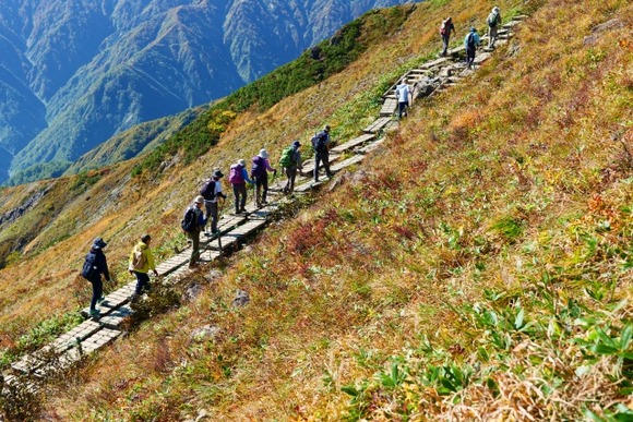 脱水はマジで怖い…町内の山登りやってた高齢者の脳梗塞や心筋梗塞の罹患率が異様に高い
