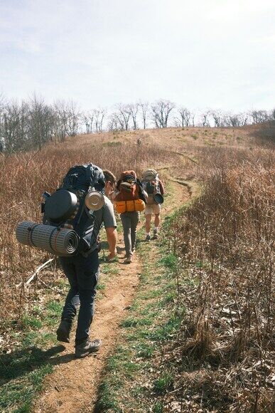 山みると登りたくなってくる