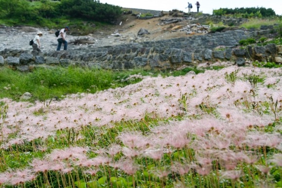 北アルプスとか八ヶ岳の値上げ厳しいなぁ