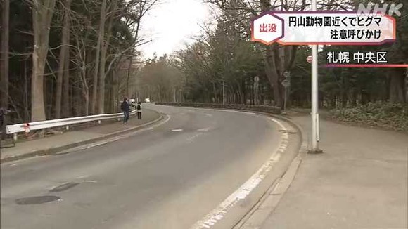 円山動物園にヒグマ出没…囚われの動物たちを助けにきたランボーか