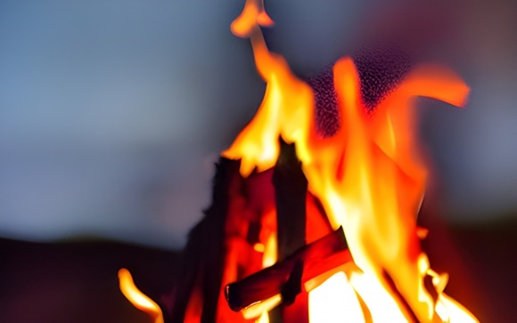 無人島サバイバルで使える知識教えて