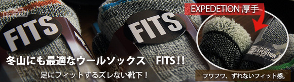 フィッツ