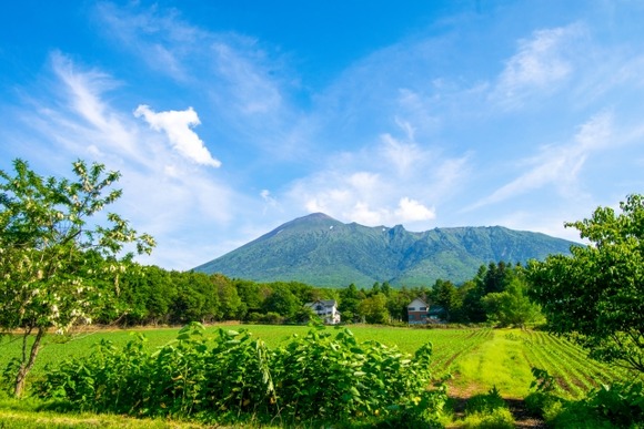 岩手県の山奥で24時間テントで暮せば5000万円貰えるならやる？