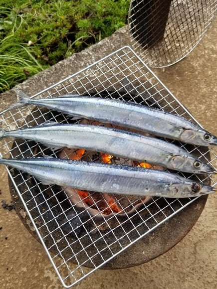 【画像】有給ワイ、平日の昼間から七輪で秋刀魚を焼き始めるｗｗｗｗｗｗｗｗｗｗ