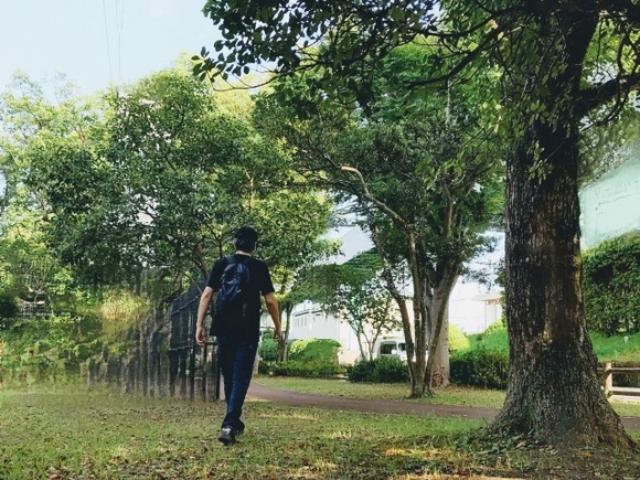 散歩が趣味なんやが、お年寄り夫婦が仲良さそうに散歩してるのを見るとほのぼのする