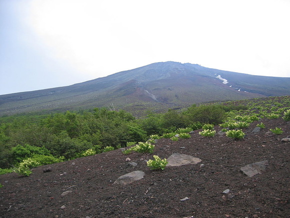 五合目以上の富士山