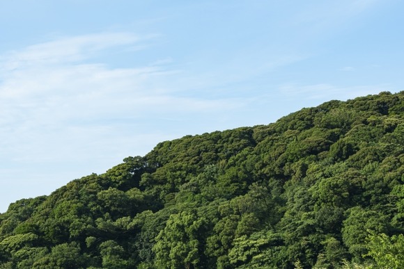 山の中で無人の機械止まらないか見てるだけの仕事を、2人交代でやってるんだが時給いくらだと思う？