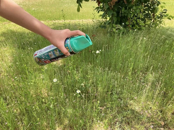 山しかないような源流に行くとアブ、ブヨがいて噛まれると痛いしめっちゃかゆいんだよな