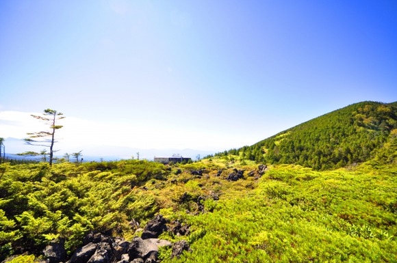 北八ヶ岳って人気ないの? だーれも歩いてないんだけど