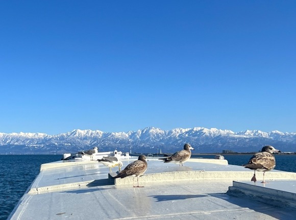 富山県←これに富士山ないの詐欺だろ