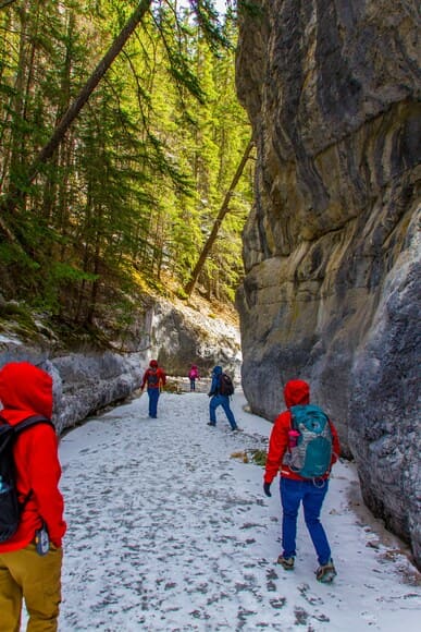 なんで登山って人気あんまりないんや？