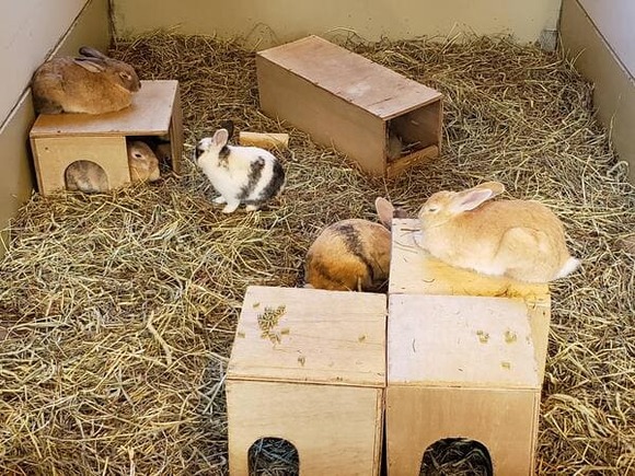 2711