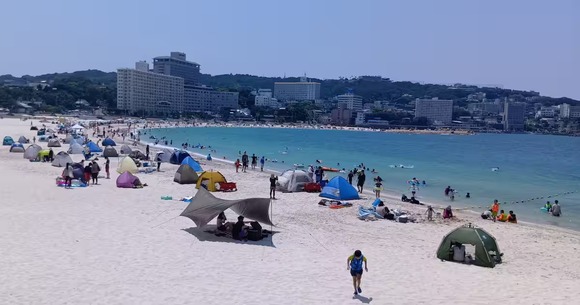 和歌山・白浜ポストパンダ戦略は観光客増で意外に健闘　町長「これまで思考止まっていた」