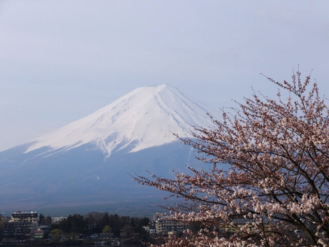 富士山 (2)