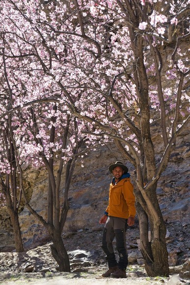 山頂で飯食っても別に旨くないよな？下山して日高屋行ったほうが数倍うまい