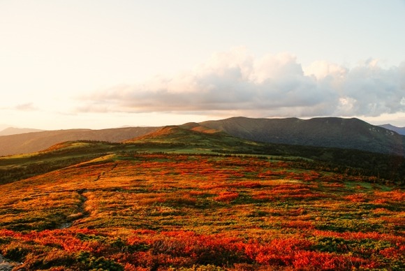 (´･ω･｀)秋の旅行プランは北日本で考えてるんだけど、オススメ教えて