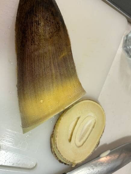 【画像】そこらへんで取ってきたタケノコ茹でる