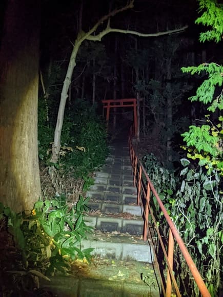 【画像】夜だから散歩するゆ????