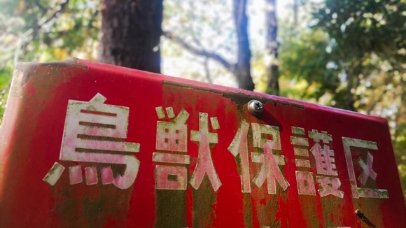 【秋田】クマ狩に対し活動自粛を要請・・・