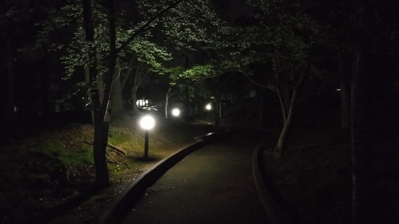 ワイ君、野宿決行ｗｗｗｗｗｗｗｗｗｗｗ