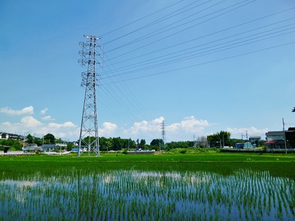 関東地方のこのあたり、何があるのか謎すぎるｗｗｗｗｗｗｗｗｗ