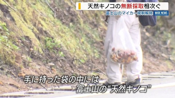日本←未だに放射能まみれだった…富士山麓のキノコから基準超えのセシウム