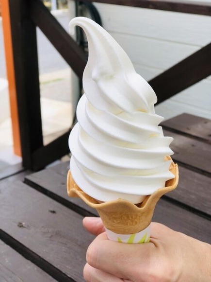 高速のＳＡでオッサンが一人でソフトクリーム舐めてた