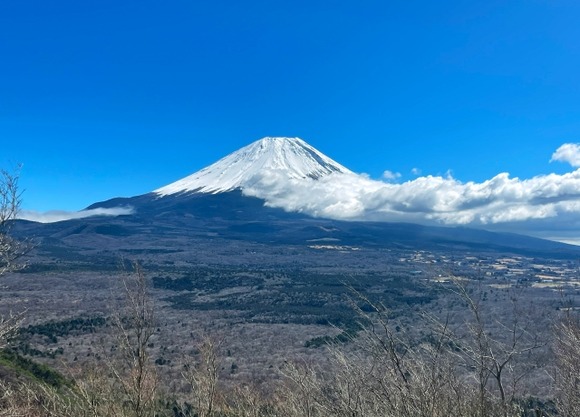 樹海とかで遭難するのってなんでなん？