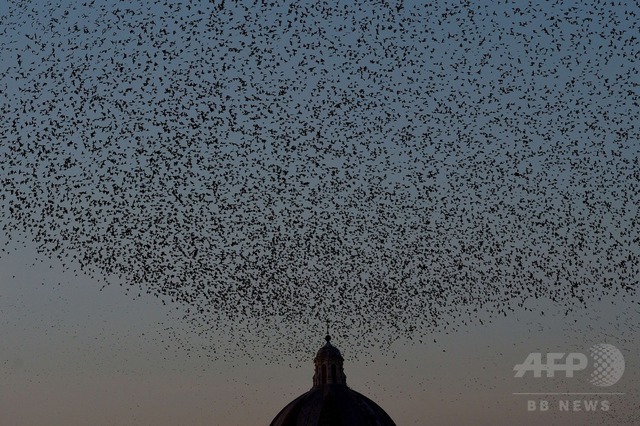 img_5fdcf3ed9da56ea7bf285e807472bed2302568