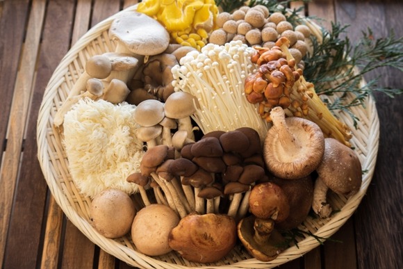 「キノコ」とかいうよく分からん食材
