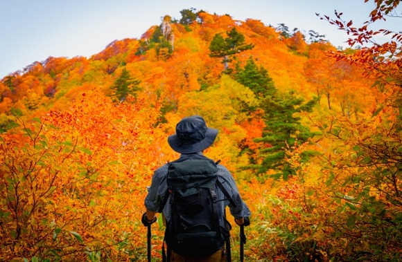 登山者が使うステッキってどんな効果があんの？